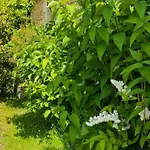 Le Clos Reaud Frühstückspension 4*