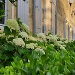 Le Clos Reaud Blaye