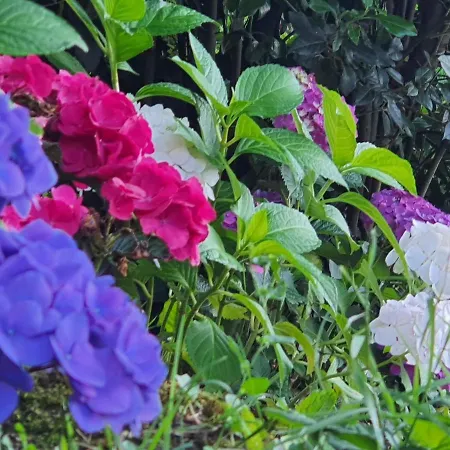 Couette-café Clos Réaud De La Citadelle