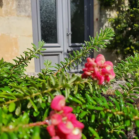 Le Clos Reaud 4*
