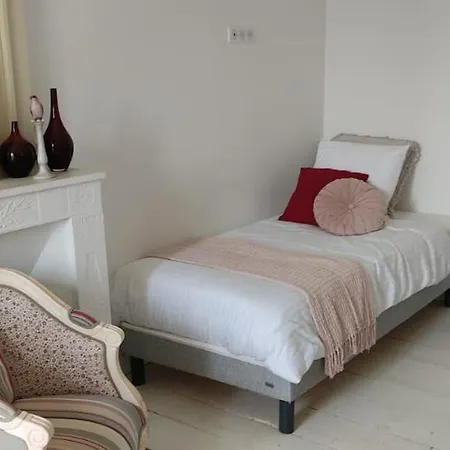 Le Clos Reaud 布拉耶圣卢斯