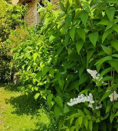 Clos Réaud De La Citadelle Couette-café 4*