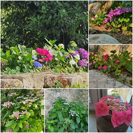 Clos Réaud De La Citadelle 4* Blaye