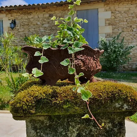 Clos Réaud De La Citadelle Couette-café *