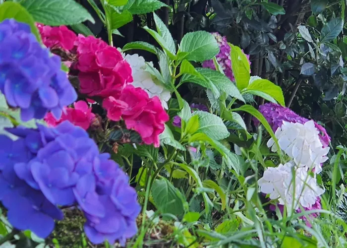 Bed and breakfast Le Clos Réaud