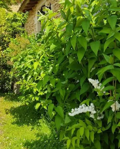 Le Clos Réaud Bed and breakfast 4*