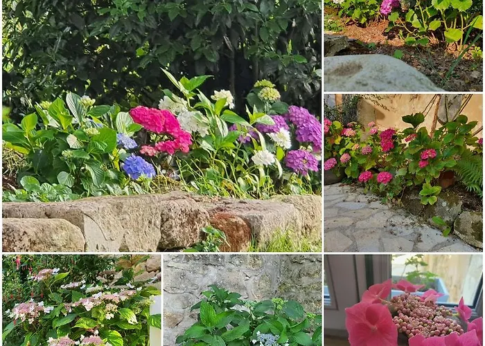 Le Clos Reaud 4* Blaye